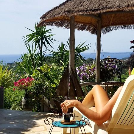 Coeurs de Pirates en Hiver SPA SAUNA TERRASSES ABRITEES JARDIN Vélos B&B Cavalaire-sur-Mer Extérieur photo