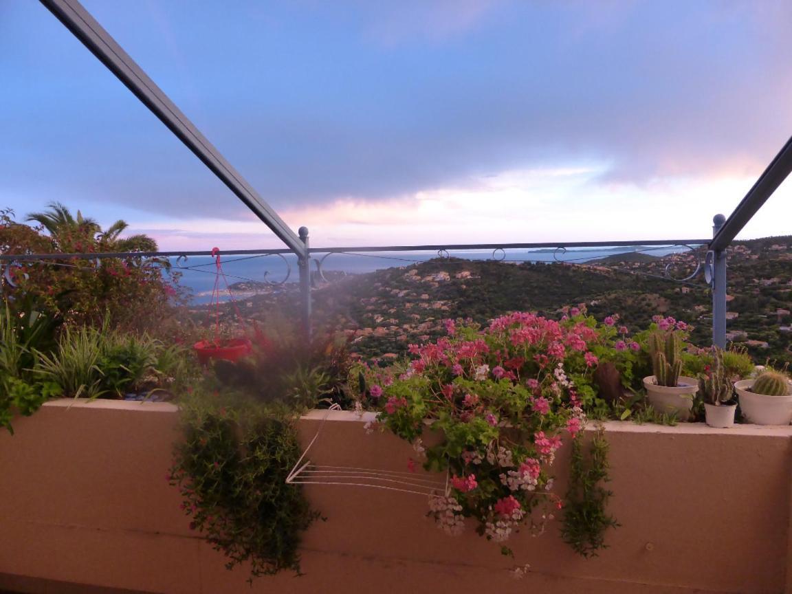 Coeurs de Pirates en Hiver SPA SAUNA TERRASSES ABRITEES JARDIN Vélos B&B Cavalaire-sur-Mer Extérieur photo