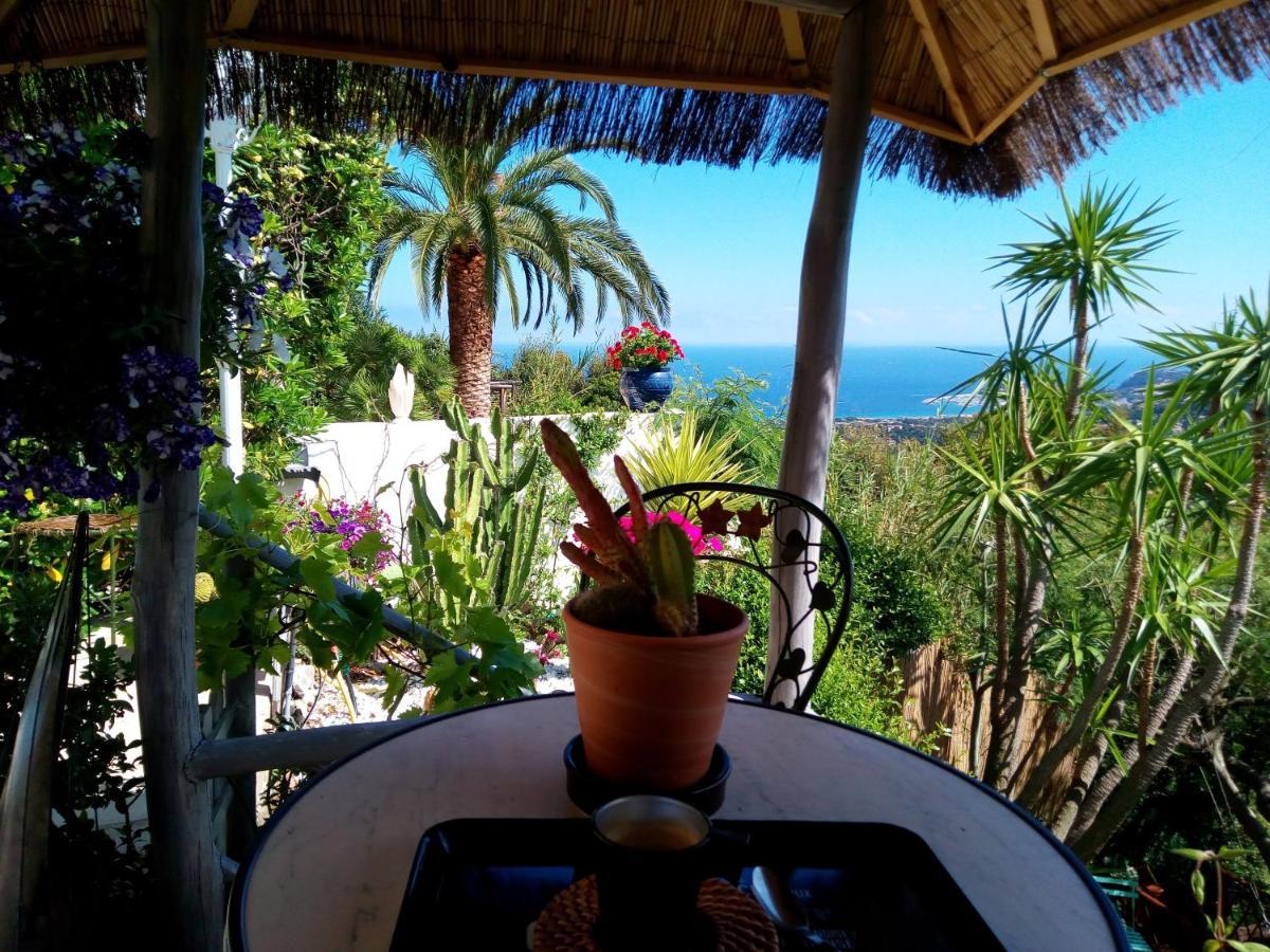 Coeurs de Pirates en Hiver SPA SAUNA TERRASSES ABRITEES JARDIN Vélos B&B Cavalaire-sur-Mer Extérieur photo