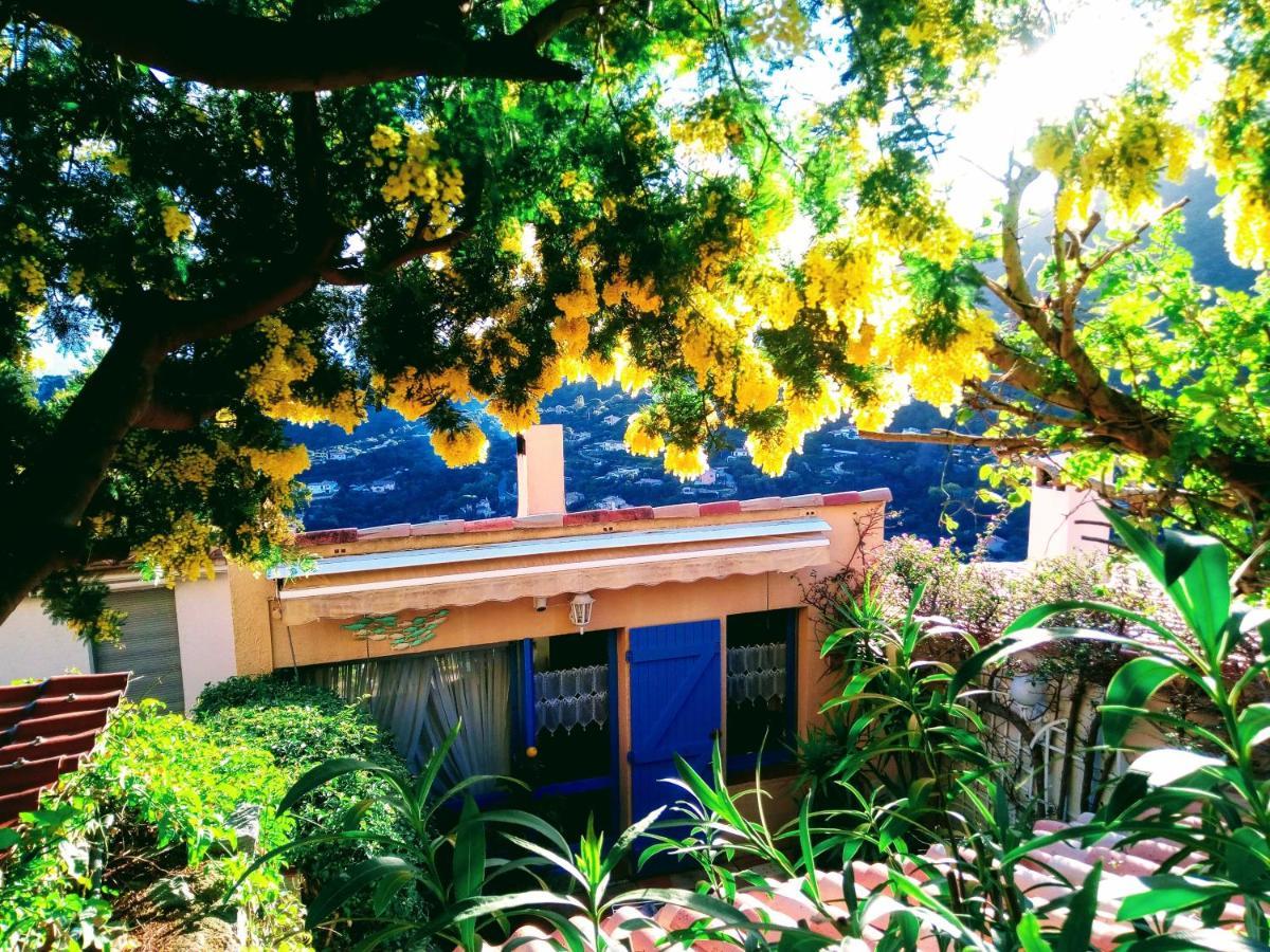 Coeurs de Pirates en Hiver SPA SAUNA TERRASSES ABRITEES JARDIN Vélos B&B Cavalaire-sur-Mer Extérieur photo